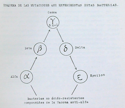 Esquema de la teoría de Jaime Ferrán