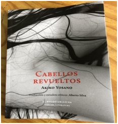 Tapa del libro Cabellos Revueltos, objeto de traducción